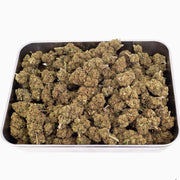 Jealousy 20% CBD — Flor de Tomate Seca