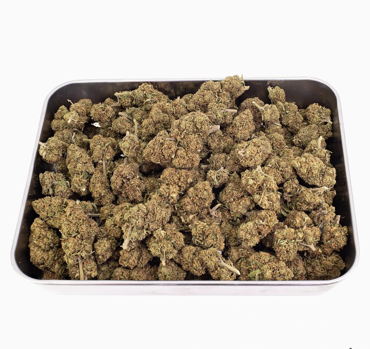Jealousy 20% CBD — Flor de Tomate Seca
