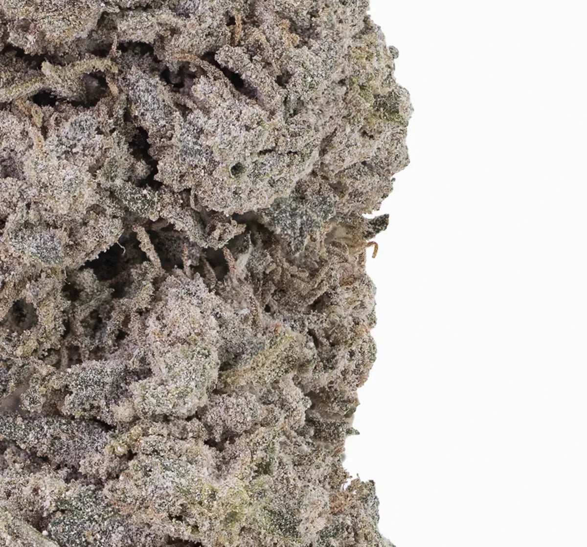 Blue Zushi 30% THCA — Dried Tomato Flower