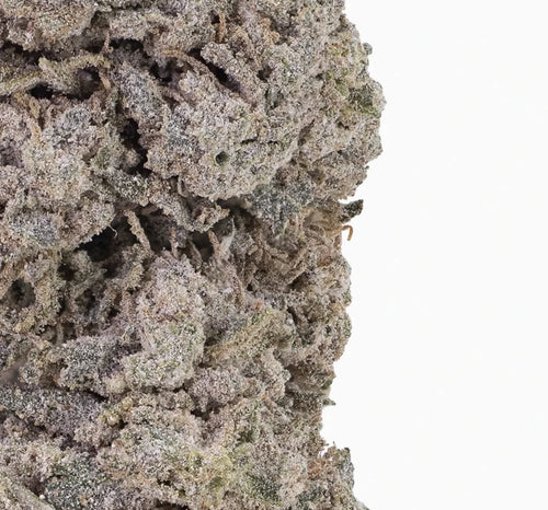 Blue Zushi 30% THCA — Flor de Tomate Seca
