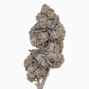 Blue Zushi 30% THCA — Dried Tomato Flower
