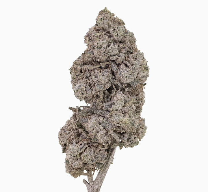 Blue Zushi 30% THCA — Flor de Tomate Seca