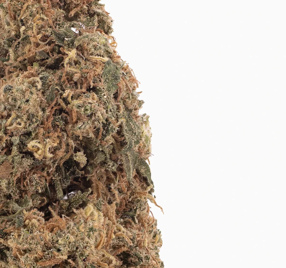 Cereal Milk 18% CBD — Flor de Tomate Seca