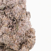 Gelato 28% THCA — Flor de Tomate Seca