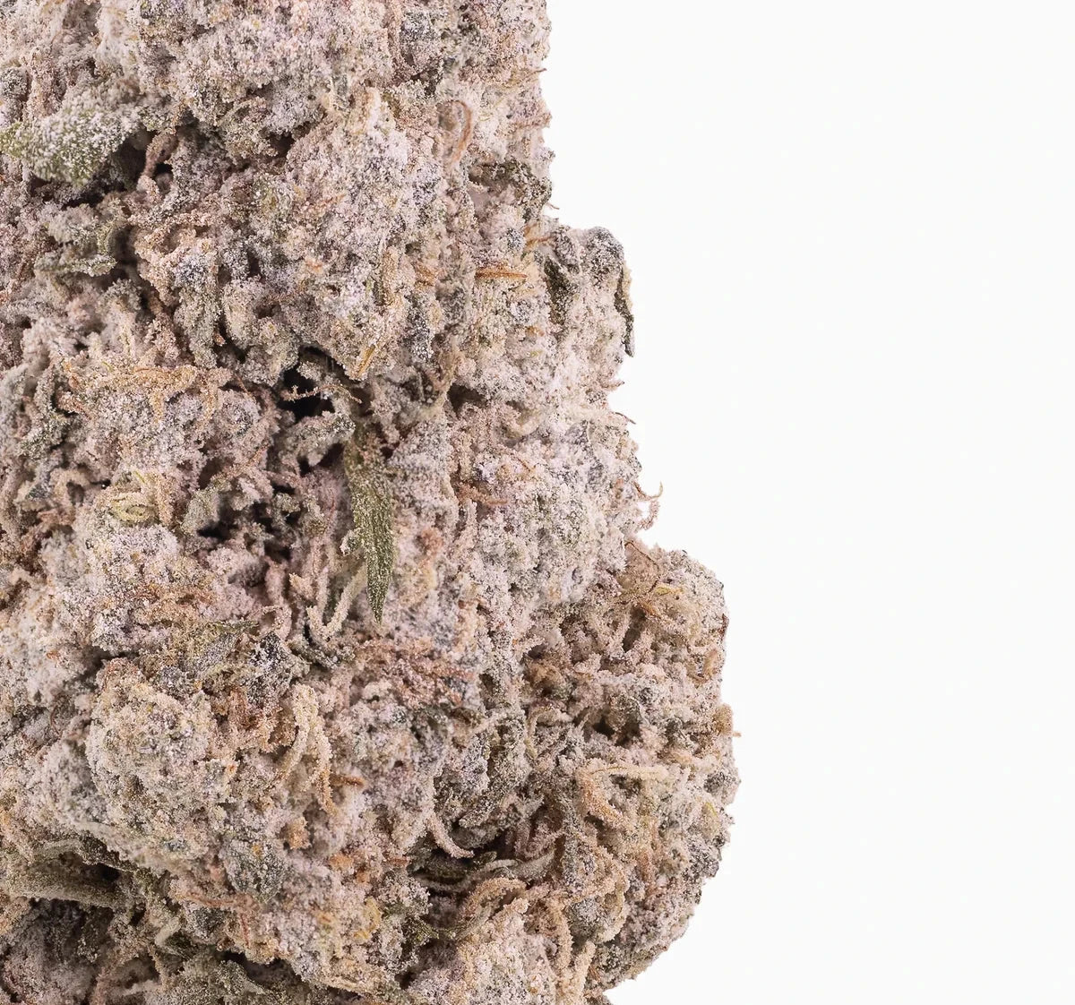 Gelato 28% THCA — Flor de Tomate Seca