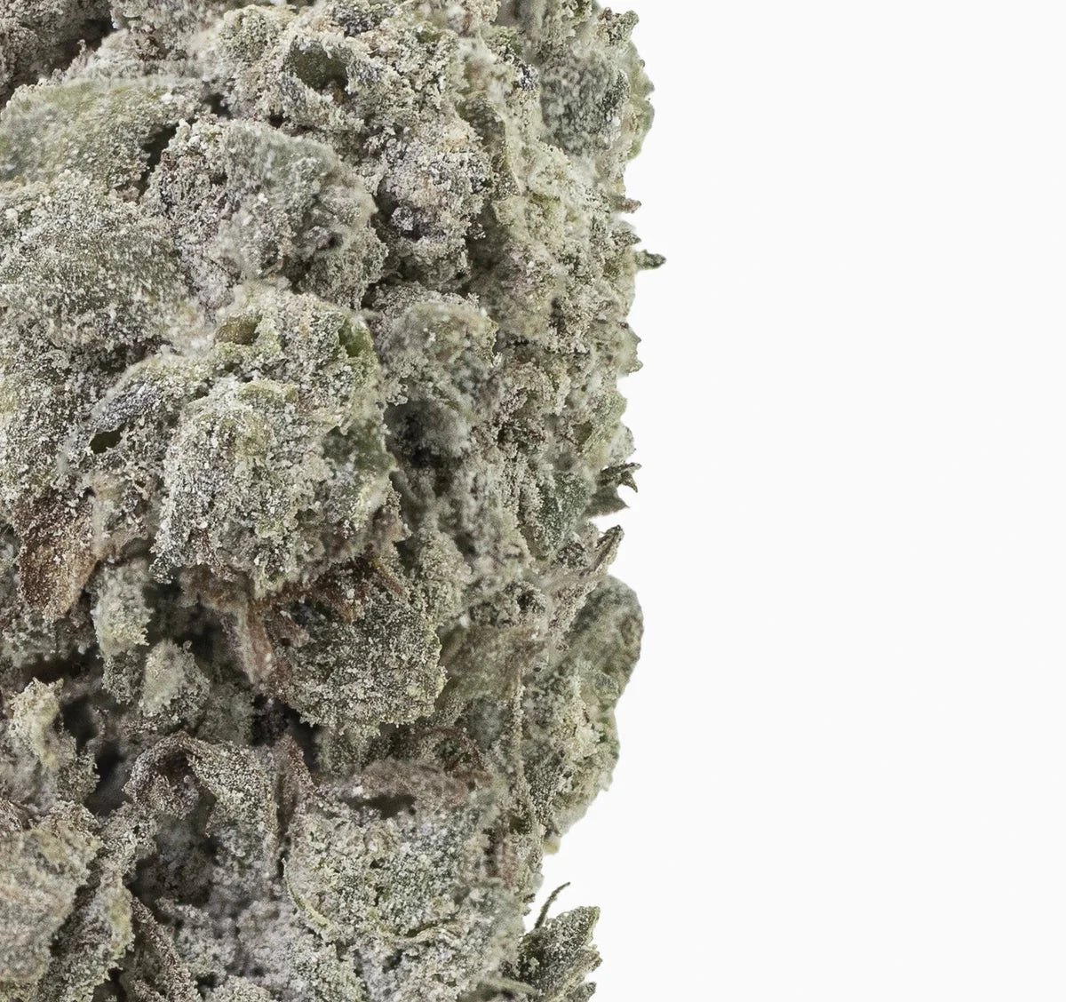 Ice Cream Cake 26% THCA — Dried Tomato Flower