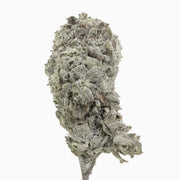 Ice Cream Cake 26% THCA — Dried Tomato Flower