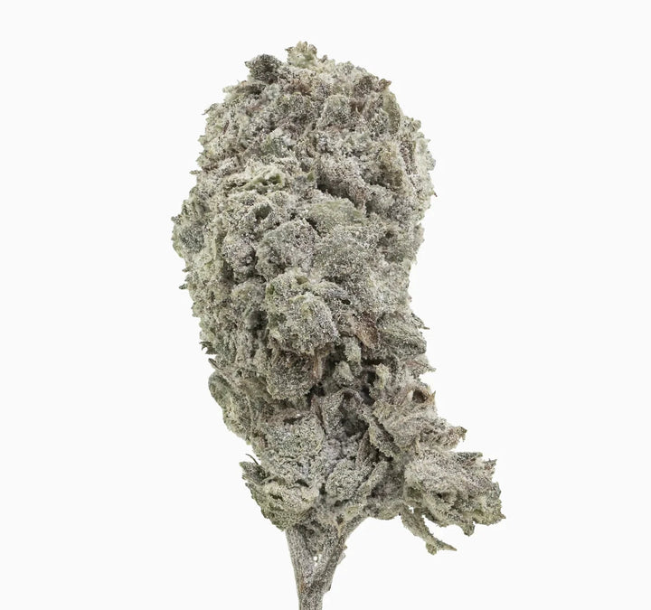 Ice Cream Cake 26% THCA — Flor de Tomate Seca