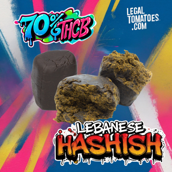 Lebanese [THC B]