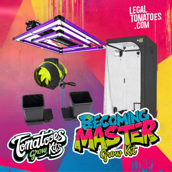 Become a Master Kit