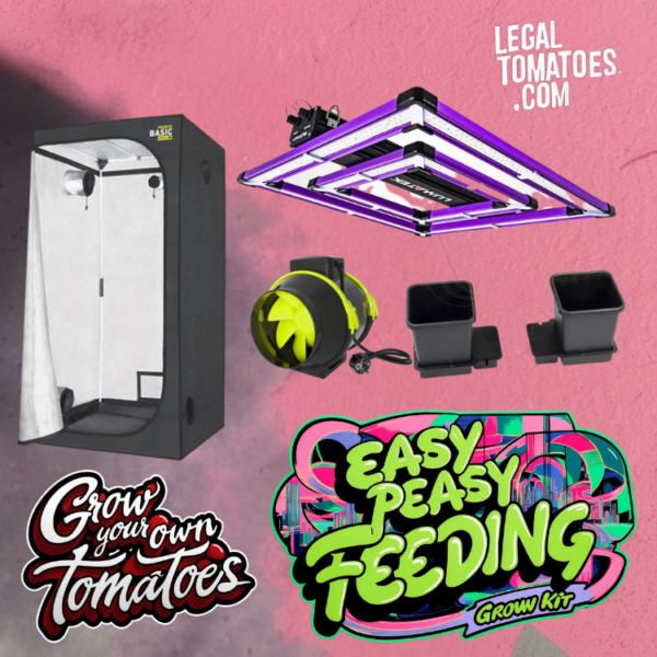 Easy Peasy Feeding Kit