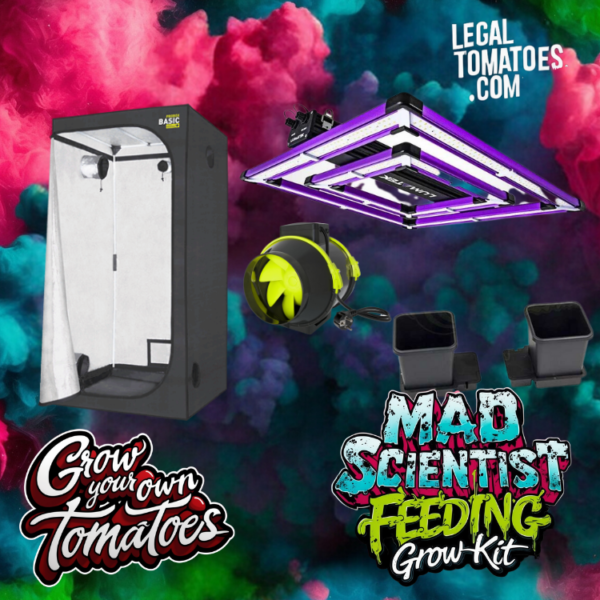 Mad Scientist Feeding Kit