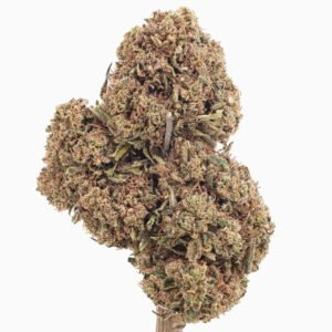 Jealousy 20% CBD — Flor de Tomate Seca