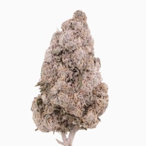 Gelato 28% THCA — Flor de Tomate Seca