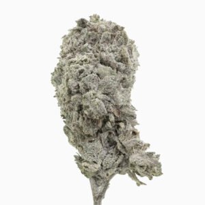 Ice Cream Cake 26% THCA — Flor de Tomate Seca