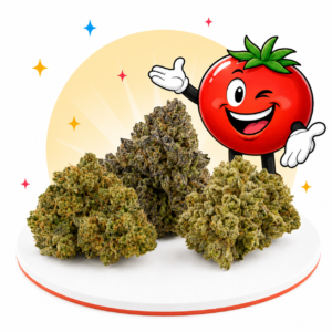 Caixa da Horta — Pack de 3 Flores de Tomate
