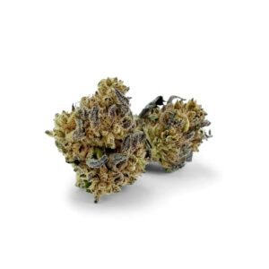 OG Kush 26% THCA — Flor de Tomate Seca